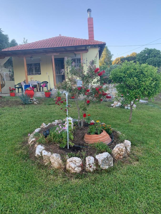 فيلا Xerxis Hill/Chalkidiki Τρυπητή Χαλκιδικής نيا رودا المظهر الخارجي الصورة